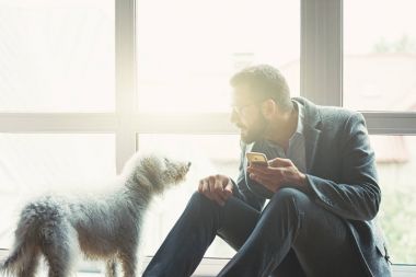 açık renkli, köpekle oynamayı akıllı telefon kullanarak iş adamı