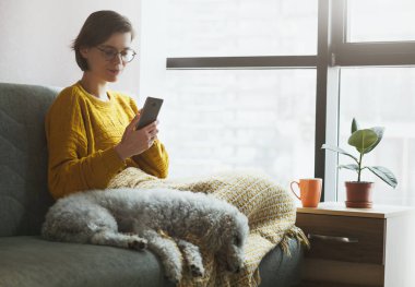 Ev karantinasında telefonla çalışan bir kadın. Kahve, çay, köpek ve rahat iş yeri için sıcak ekose. Yurt içi kampanyada kal.
