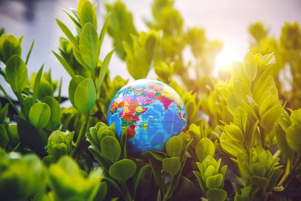 Planet Earth Model Green Plants Ecology Atmosphere Environment Concept — Stock Photo, Image