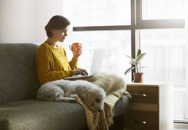 Karantinasında Dizüstü Bilgisayarla Çalışan Bir Kadın Kahve Çay Köpek Rahat — Stok fotoğraf