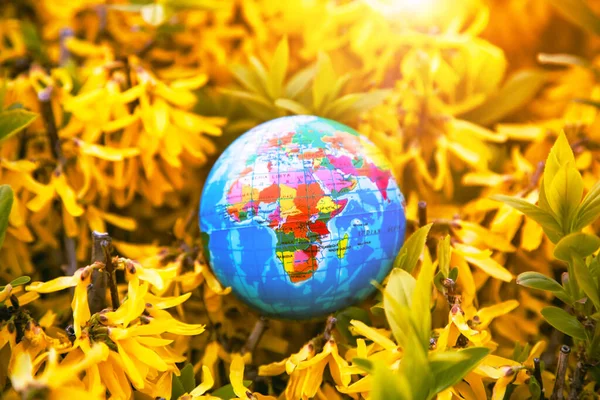 Föld Bolygó Modellje Virágokban Ökológia Légkör Környezetvédelem Stock Kép