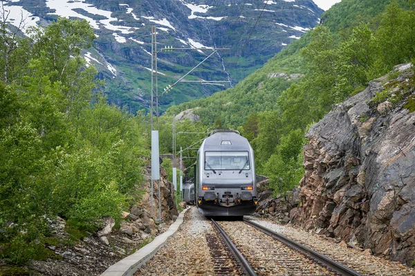 Flamsbana σιδηροδρόμων τραίνο φτάνοντας στο μικρό αγροτικός σταθμός, Νορβηγία. — Φωτογραφία Αρχείου