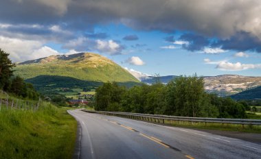 Norveç otomatik gezisi
