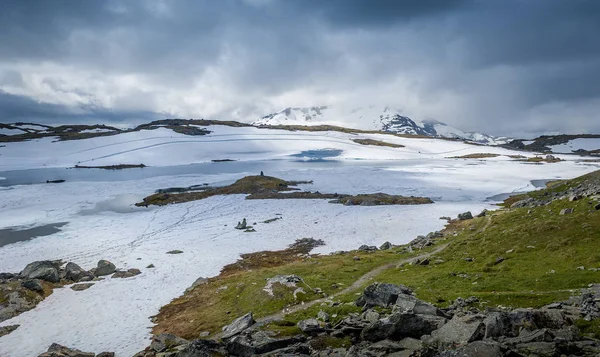 Schneebedecktes Hochplateau, Sognefjellet, Norwegen — Stockfoto