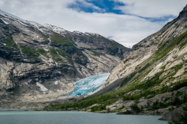 Nigardsbreen buzul manzara