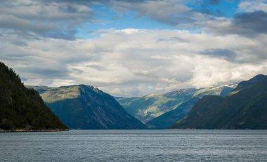 Norveç Fiyordu panoramik manzara