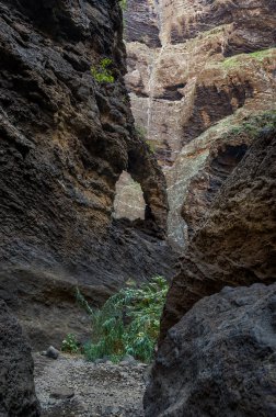 Masca derin kanyon gölgesi