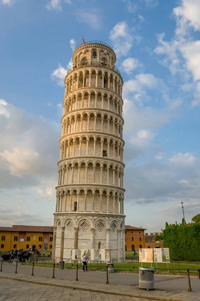 Pisa tower at sunset vertical photo
