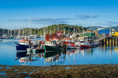 Tarbert harbor with colorful fishermans boats and sailing yachts docked. clipart