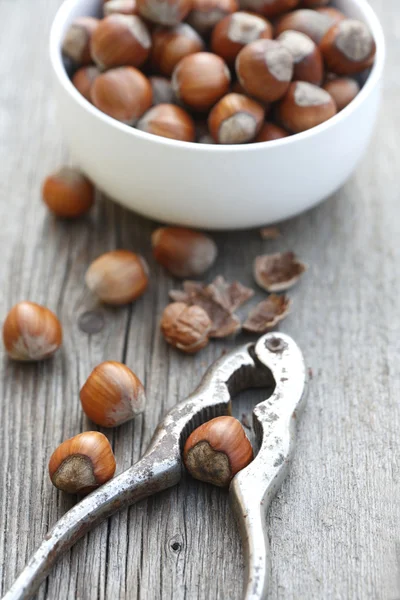 Frische Haselnüsse auf einem Holztisch — Stockfoto