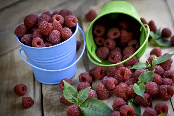 树莓是新鲜的在一个桶里 — 图库照片