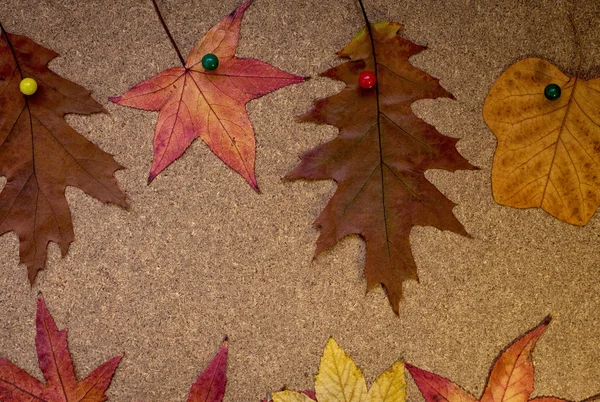 秋天的落叶，在木板上 — Zdjęcie stockowe