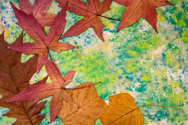 Folhas de outono em um fundo verde — Fotografia de Stock