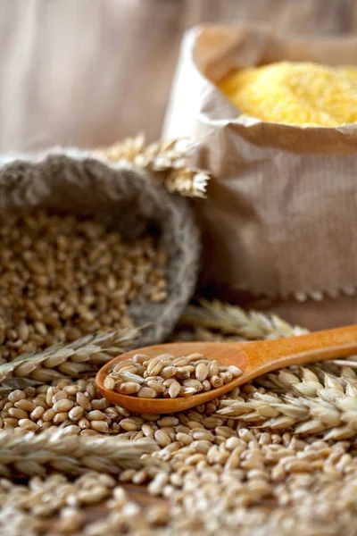 Buğday Kulak Tahıllar — Stok fotoğraf