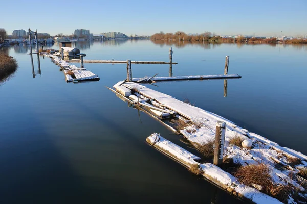 Зима на реке Фрейзер — стоковое фото