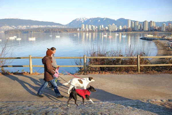 Eigenaars van de hond nemen schilderachtige lopen met huisdieren — Stockfoto