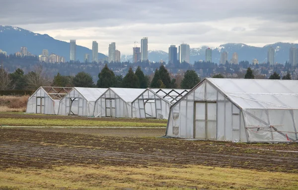 Campagne rurale près de Ville : imits — Photo