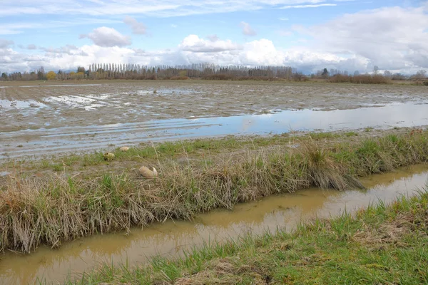 Tierra agrícola de invierno — Foto de Stock