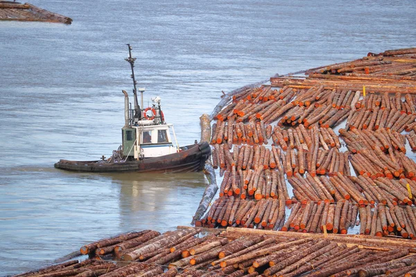 Transporte de madera cruda por río —  Fotos de Stock