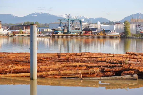 Industrie lourde en bord de rivière . — Photo