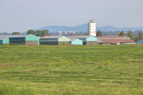 Farma na peryferiach miasta — Zdjęcie stockowe