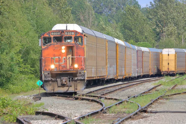 Canadian National Train in Rail Yard — Stock Photo, Image