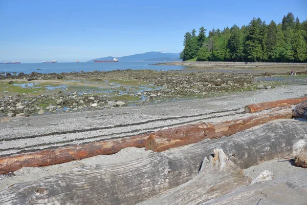 Low Tide on Vancouver 's English Bay — стоковое фото