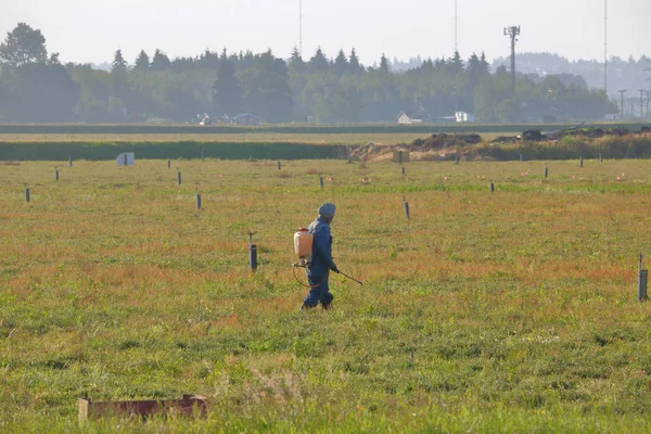 Sproeien van pesticiden op Cranberry veld — Stockfoto