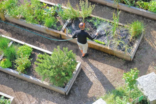 庭師および市・ パブリック ・ ガーデン — ストック写真