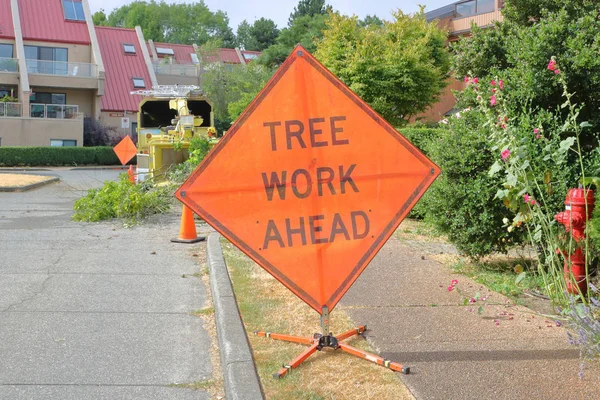 Tree Work Ahead Sign — Stock Photo, Image