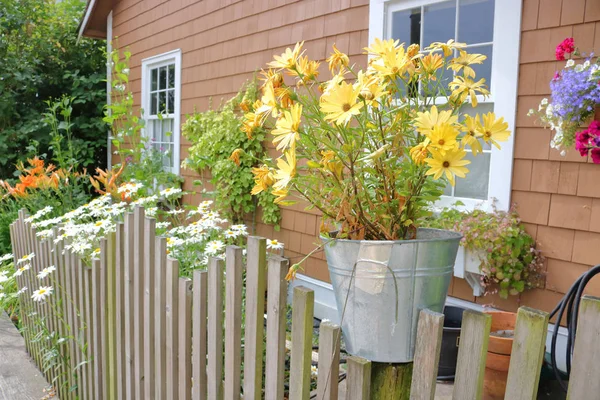 Bucket of Yellow Daisies — Stock Photo, Image