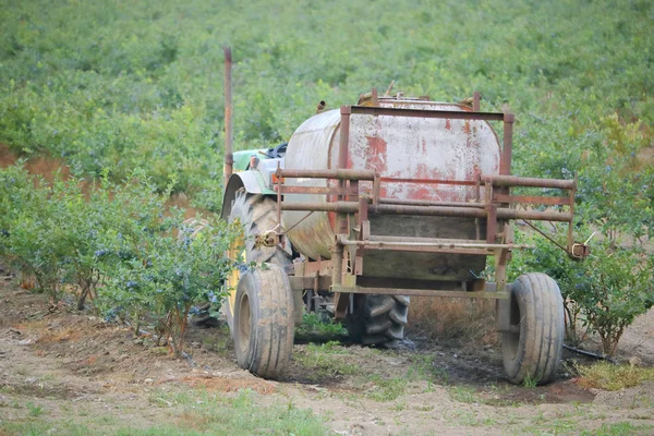 Chemical Tank and Blueberry Crop — Stock Photo, Image