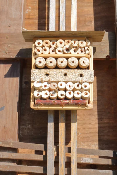Πολλές φωλιές για τις μέλισσες Mason — Φωτογραφία Αρχείου