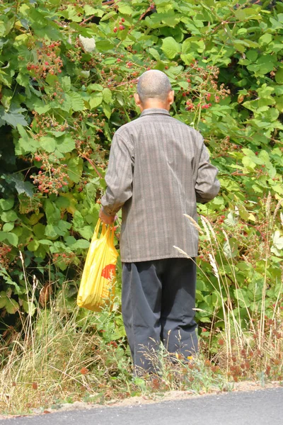 Üst düzey malzeme çekme yabani çilek — Stok fotoğraf