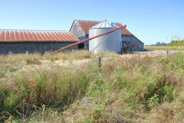 Mały metalowy silosu na farmie — Zdjęcie stockowe
