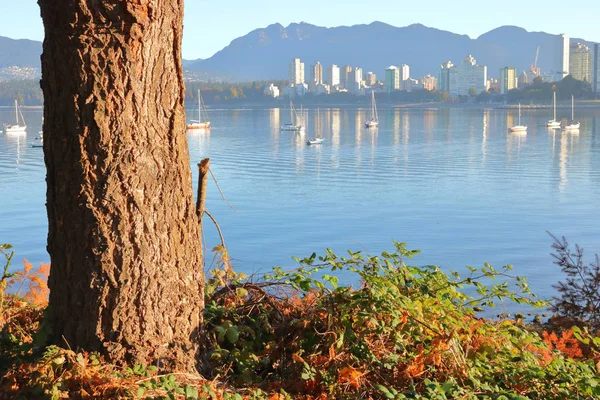 Natur und die englische Bucht von Vancouver — Stockfoto