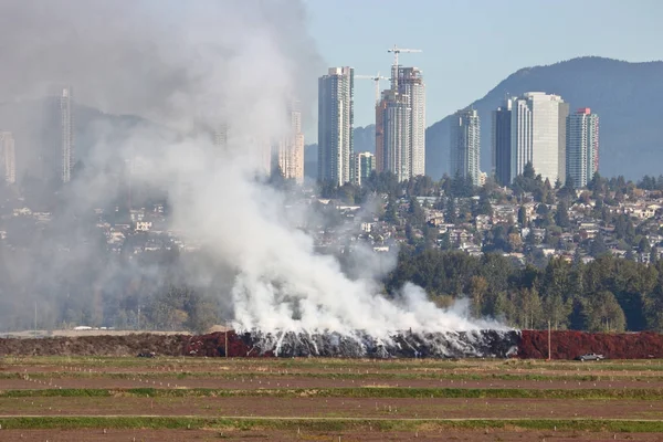 Torba Palude Fuoco e fumo — Foto Stock