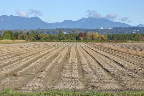 Valley Farmland Ready for Planting — Stock Photo, Image