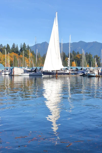 Segelbåt med höga segel i Marina — Stockfoto