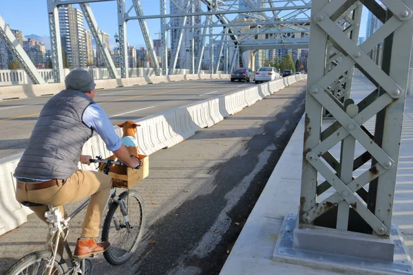 Proprietário na bicicleta com cão — Fotografia de Stock