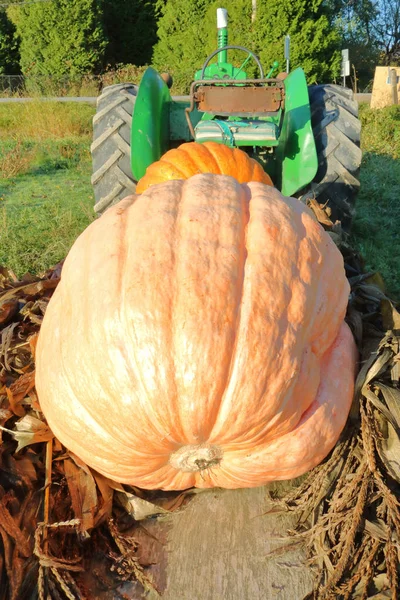 Huge Pumpkin and Tractor — Stock Photo, Image