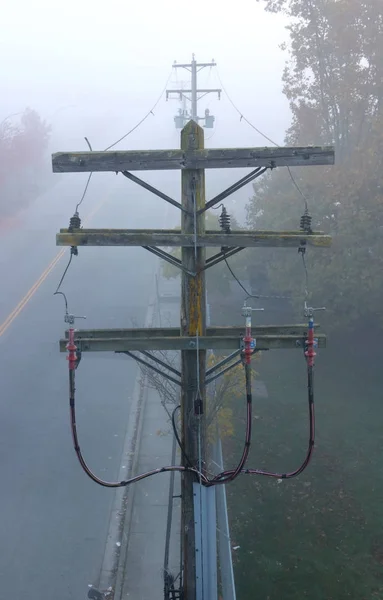 Электрические линии и туман — стоковое фото