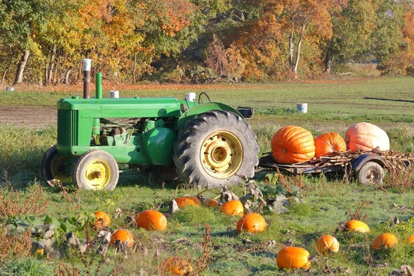 Tractor and Pumpkin Patch — Stock Photo, Image