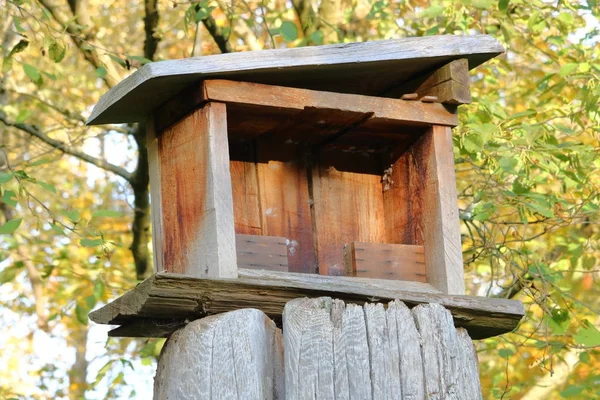 Zelfgemaakte blauwe Orchard Mason Bijenkorf vak — Stockfoto