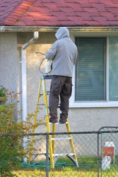 Removing Mold on Exterior House — Stock Photo, Image