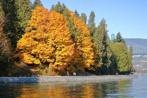 Vancouver 's Seawall im Herbst — Stockfoto