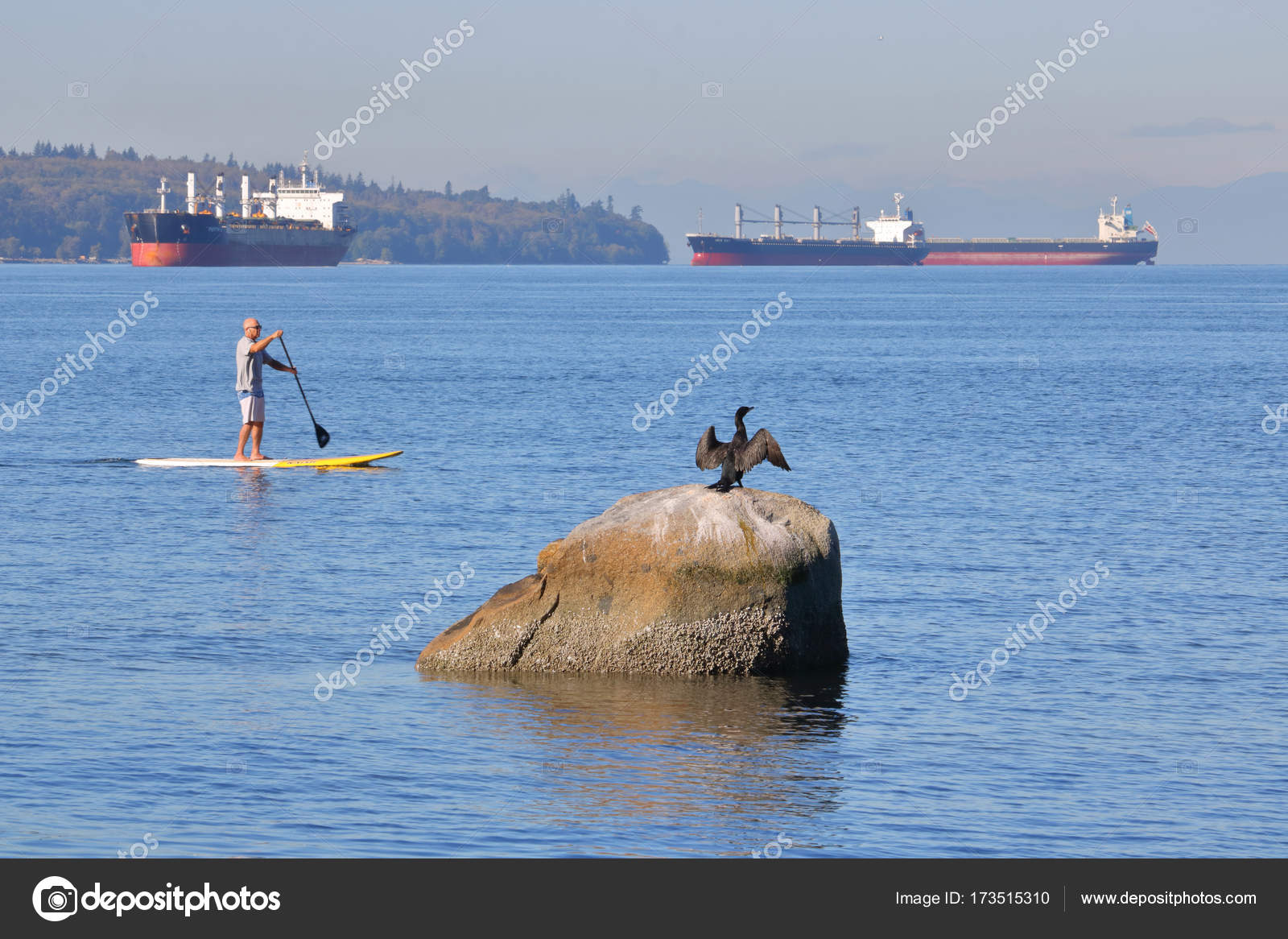 Pensionnaire De La Pagaie Dans La Baie English De Vancouver Photo