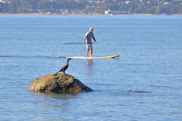 Active Paddle Boarder and Nature — Stock Photo, Image