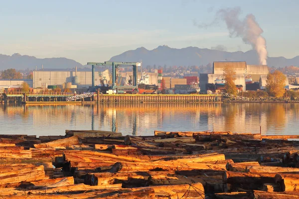 Industria pesada y medio ambiente — Foto de Stock