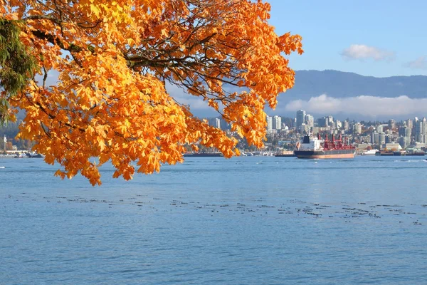 Colores de otoño en la costa oeste de Canadá — Foto de Stock